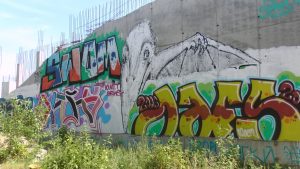 S1150019